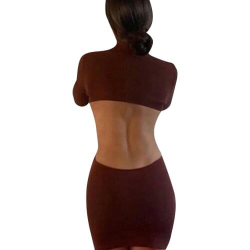 Autumn Dress Women Robe Femme Long Sleeve Pencil Dresses Hollow Out High Collar Backless Mini Dress For Woman Vestido De Mujer