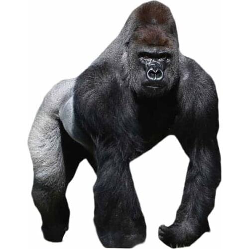 SZWL Personality Gorilla Car Sticke Vinyl Material Waterproof Sunscreen Decoration Street Signs Motorcycle Decals,13cm*10cm