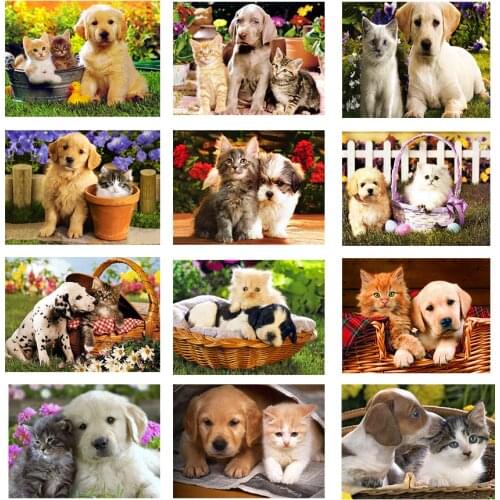 Paints By Numbers Cat and Dog 50x40cm Pictures Oil Painting By Numbers Set Gift Coloring By Numbers Canvas Wall Set