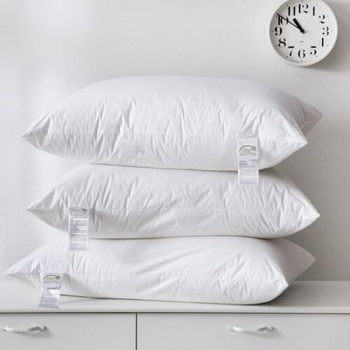 60 Thread Count Pillow Cotton Pure White Goose Feather Velvet Five-star Hotel Pillow High-end Hotel Home Stay Pillow Core