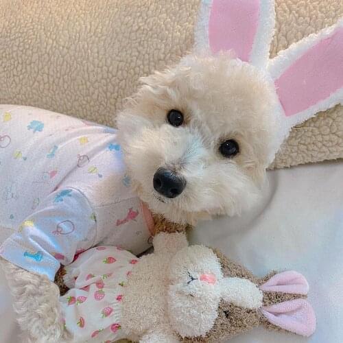 Ins hot Korea Pet Cats And Dogs Sleep Accompanying Voice ToysPet Entertainment Toys Chew Toys Plush Doll Soundable Stuffed Toy