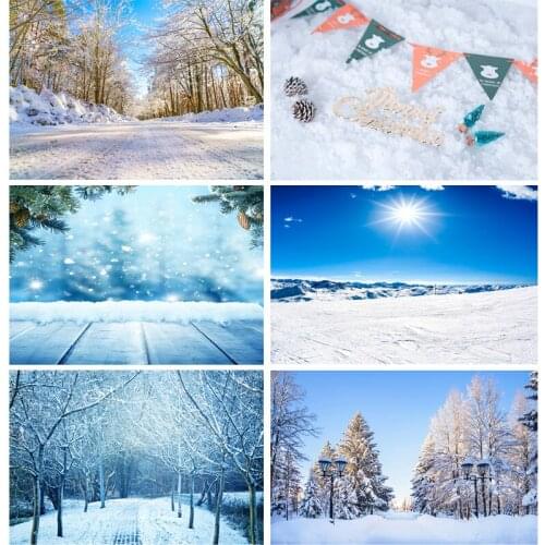 Vinyl Custom Photography Backdrops Prop Snow scene Photography Background 2021112XJ-04