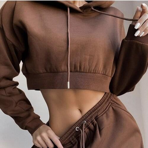 2 Piece Set Womens Tracksuit Sets Basic Cotton Sweatshirts Hoodies Elastic Waist Pants Solid Casual Suits Street Wear