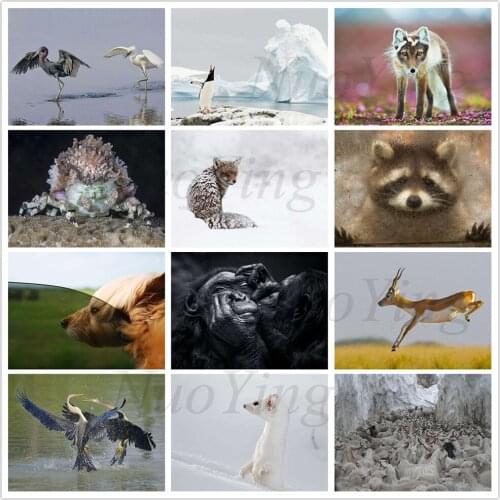 5d DIY Diamond Painting Moving Penguin Fox Koala Diamond Inlaid Monkey Deer Bird Winter Landscape Cross Stitch Set Home Decor