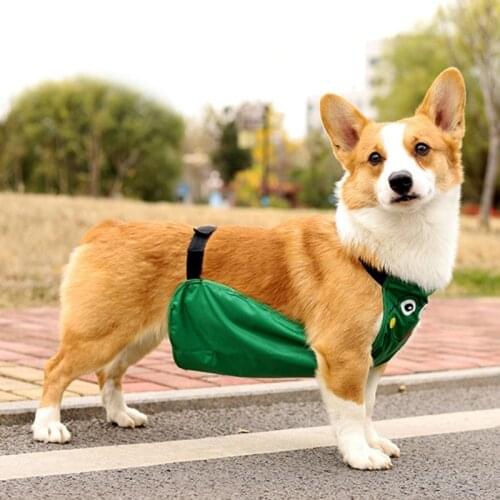 Belly Corgi Clothes Male Dog Bitch Pet Bellyband Moisture-Proof Autumn And Winter Pet Supplies To Keep Warm
