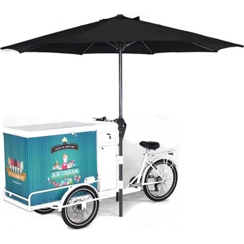 Ice Cream Bike Electric Freezer Tricycle With Battery Food Cargo Truck For Cold Drinks