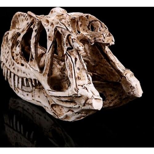 Ceratosaurus Dinosaur Skull Resin Crafts Skeleton Teaching Model Halloween Home Office Decoration M17F