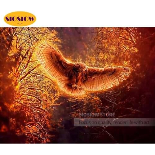5d Diy Diamond Painting Owls Full Drilling Drill Diamond Embroidery Fire Owl Pictures Of Rhinestones Mosaic Wall Home Decor Room