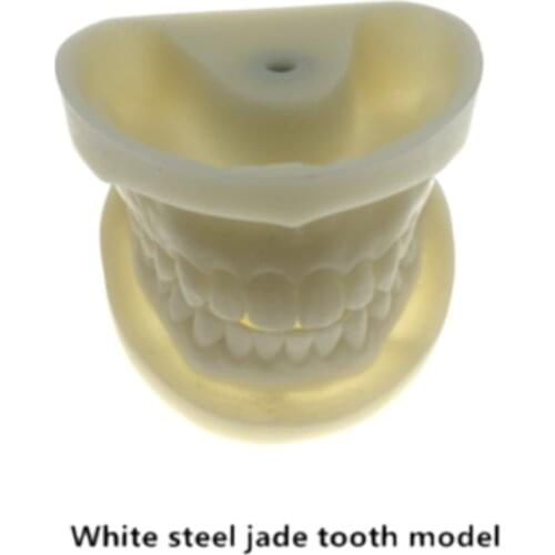 Preparation dental dental cast mold resin dentistry teaching dental practice dental model teeth mode