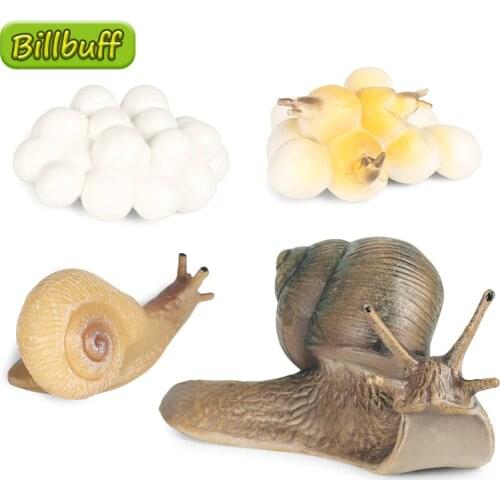 Hot Simulation Animal Insect Model Mini Animals Snails Growth Cycle Ornaments Kids Cognitive Educational Toys for children Gift