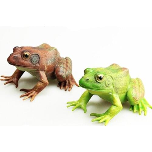 Solid Bullfrog Animals Model Action Figure Simulation Wild Animal Action Figures Collection PVC Lovely Toy Kids Gift
