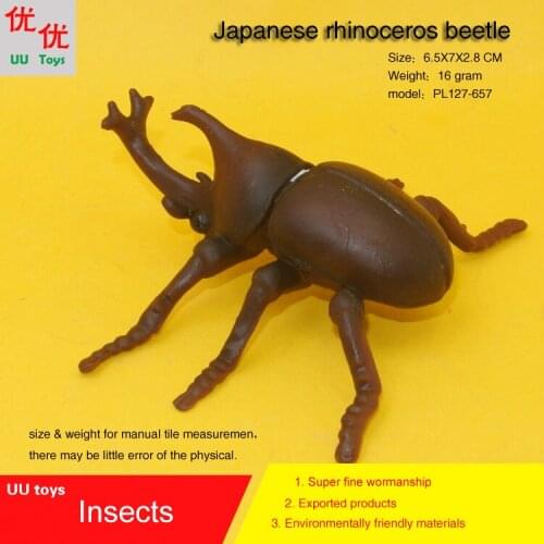 Hot toys Japanese rhinoceros beetle Insects Simulation model Insects Animals kids gift educational props Action Figures