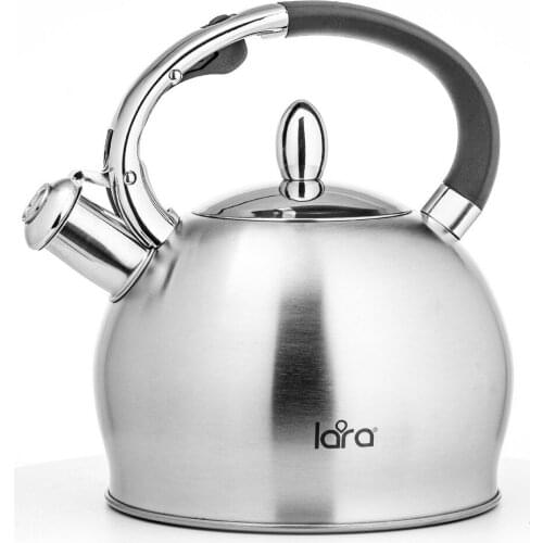 LARA Teapots China