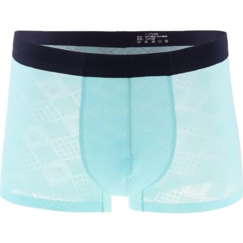 Men Low Waist Briefs Underwear Sexy Mesh Shorts Bulge Pouch, M-XXL/3 Colors