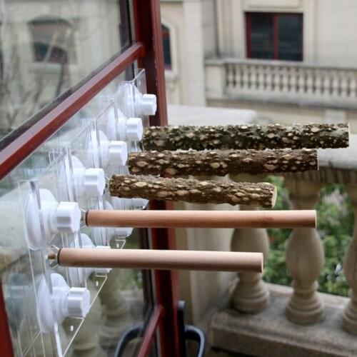 New Parrot Holder Wood Support Frame Outing Portable Car Bathing Stand with Suction Cup Parrots Toy