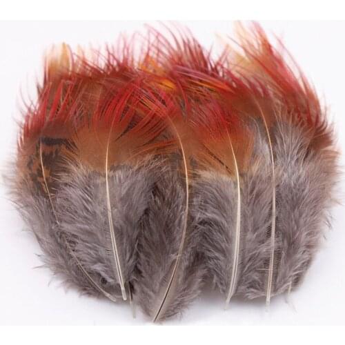 50Pcs 4-9cm Natural Pheasant Chicken Feather For DIY Clothing Home Crafts Plume Jewelry Accessories Mask Headwear Decoration