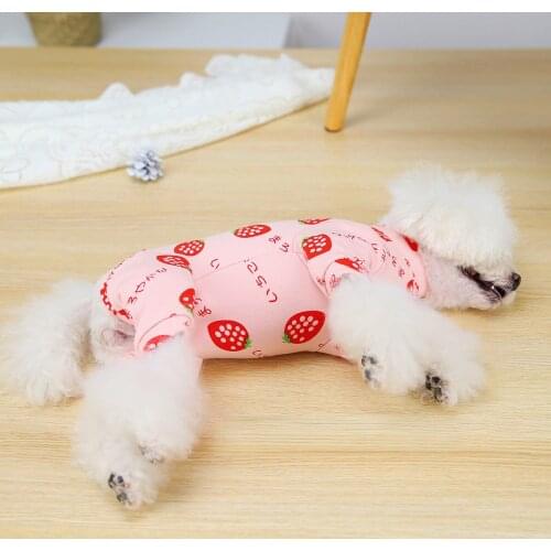 Dog Clothes Puppy Compassionate Pet Clothing Spring and Autumn Schnauzer Teddy Dog Small Dog Thick Version Belly Clothing