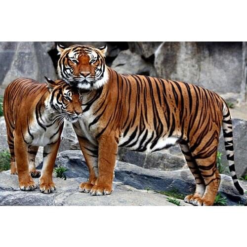 Diamond Embroidery Diy Diamond Painting Cross Stitch Kits Diamond Mosaic Tiger Full Square Diamond Embroidery AD257