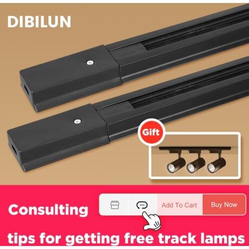 DIBILUN Track Lights
