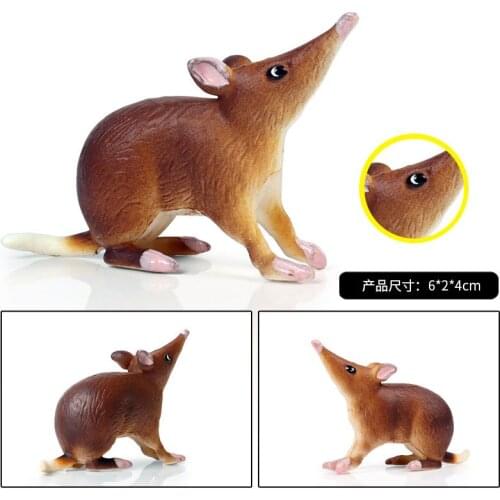 Opossum Animal Figure Collectible Toys Wild Animal Kids Plastic Model Toys