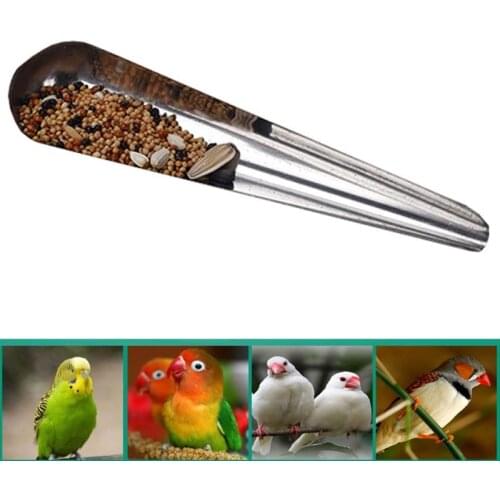 Bird Pointed Seed Dispenser Feeding Spoon Stainless Steel Parrot Feeder Seed Container for Bird Peony Cockatiel Feeding