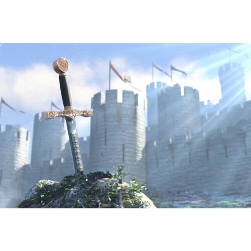 Legend About King Arthur The Sword In Stone Backgrounds Vinyl cloth High quality Computer print party backdrop