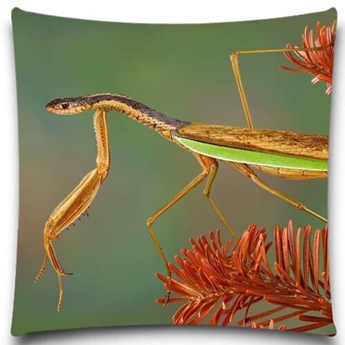 Animals Green Grasshopper 5 size 9 style Square Pillow Case Bedding Room Sofa Chair Home Hotel Decorative Cushion Cover