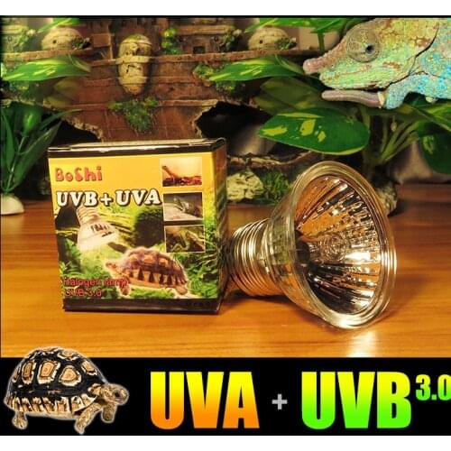 Sunning Heat Lamp 25~75 Watt Bulb, emits a broad-spectrum light, Provided A Basking Lamp insect Reptiles in Terrariums