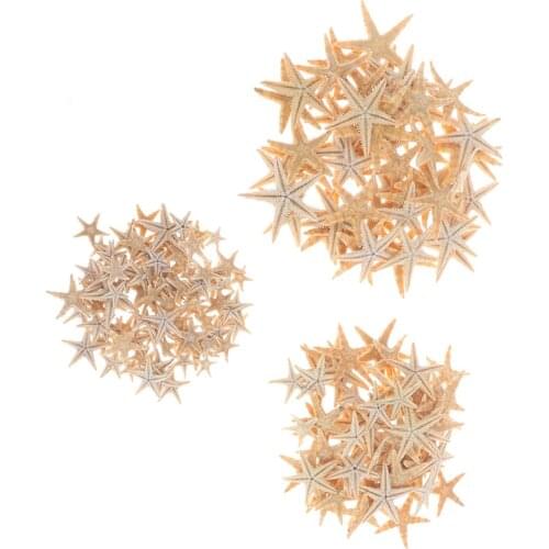 25pcs 3-5cm natural starfish shell beach crafts natural starfish beach wedding decoration crafts home decoration epoxy resin