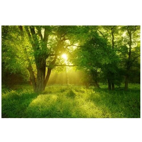 Customized 3d photo wallpaper for walls 3 d wall murals Natural landscape forest grass trees setting wall is sunshine home decor