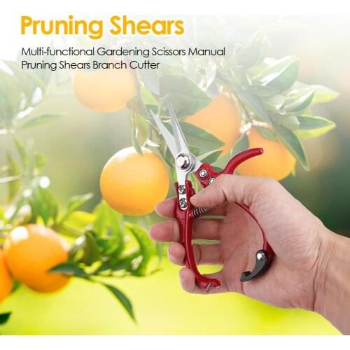 Garden Tools Secateurs Bonsai Shears Metal Gardening Scissor Pruning Tool Hand Cutter Grape Fruit Picking Weed Household Pruner