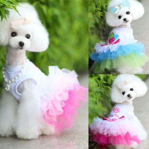 Puppy Pet Dog Clothes for Small Girl Dog Sweety Lace Princess Dress Apparel