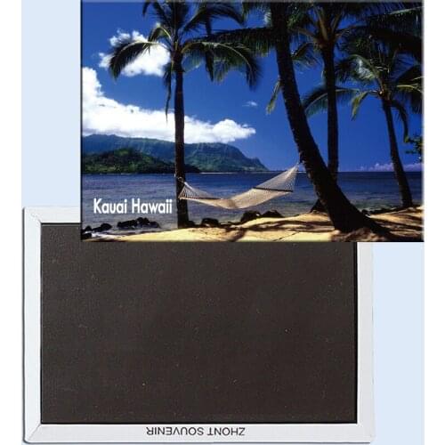 Tourist Souvenirs,Fridge Magnetic,Exquisite Gift 24572, Afternoon Nap, Kauai, Hawaii