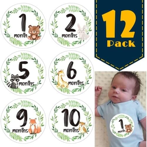 12 Pcs/Set Newborn Milestone Memorial Month Stickers Floral Baby Monthly Stickers Photography Commemorative Card Number 97BC