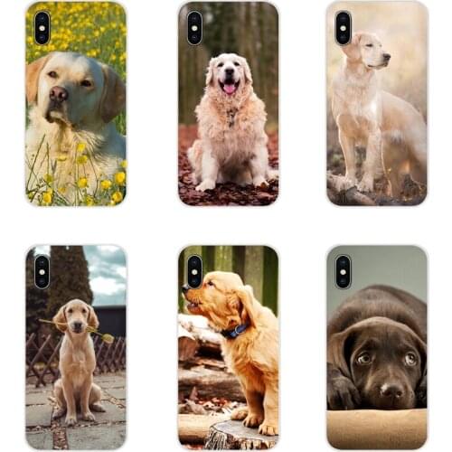 Accessories Phone Cases Covers For Huawei G7 G8 P8 P9 P10 P20 P30 Lite Mini Pro P Smart Plus 2017 2018 2019 Labrador Retriever
