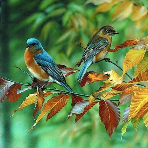 Diamond embroidery birds,full diamond painting,birds,crystal embroidery,diamond cross stitch parrot bird