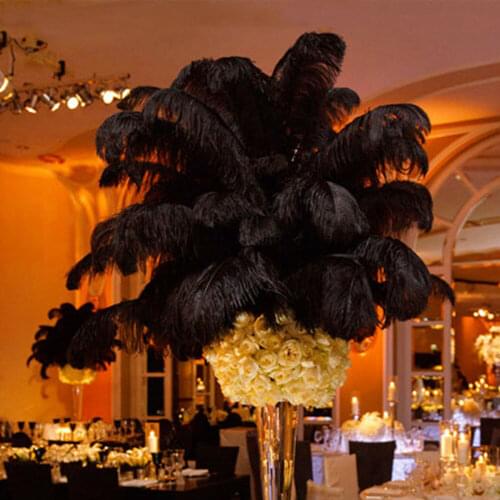 10pcs/pack 25-30cm Large Ostrich Feathers Plume Craft Wedding Party Chtistmas Decorations Stage Props White Black