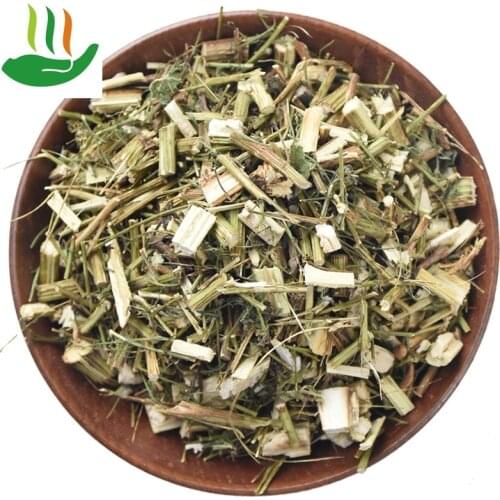 250g Artemisia annua plant Herbal Artemisia annua