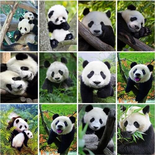 Panda Diy 5D Diamond Painting Cross Stitch Rhinestone Mosaic Animal Diamond Embroidery Mosaic Home Decor Wall Art