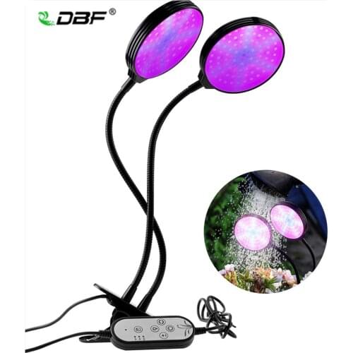 DBF Phytolamps For Plants