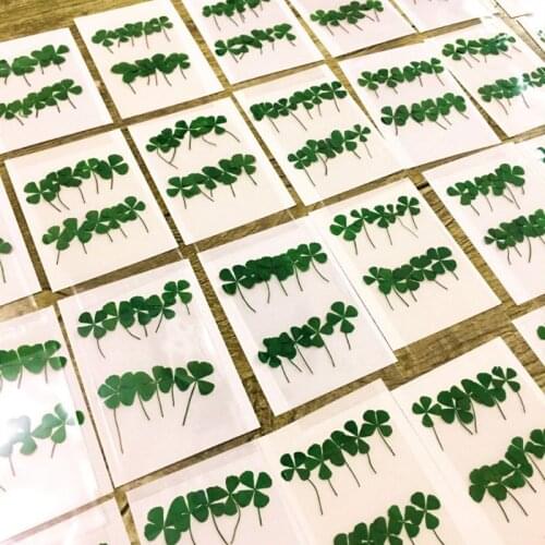 10Pcs Dried Leaf Clover UV Resin Decor Nail Art Epoxy Mold DIY Filling Jewelry Accessory