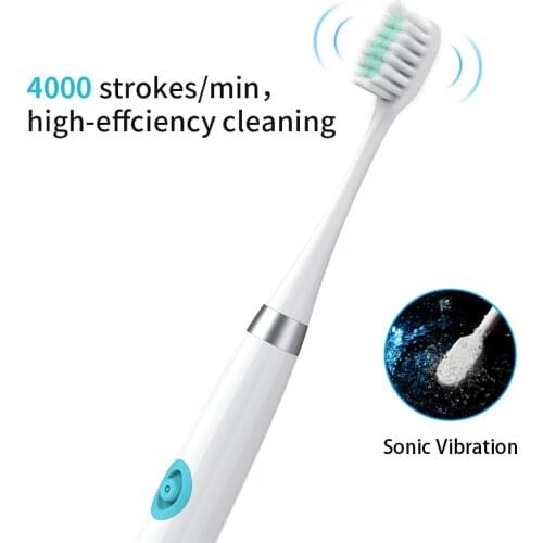 Electric Toothbrush with 3 Brush Heads Battery Operated Oral Hygiene Non Rechargeable Waterproof for Children Adults 30