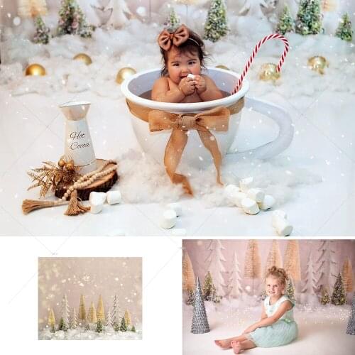 Winter Snow Christmas Newborn Photography Backdrop Decorations Snowland Scene Glitter Bokeh Child Portrait Background PhotoShoot