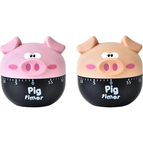 PROKTH Electronic Timers China