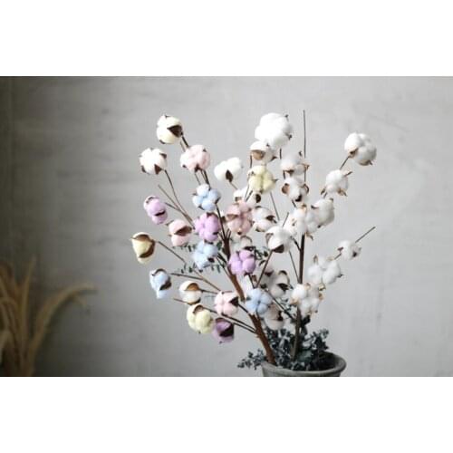 20 Heads Preserved Cotton Flower With Stems For Wedding Party Holiday Birthday Gift Favor Home Office Hotel Decoration