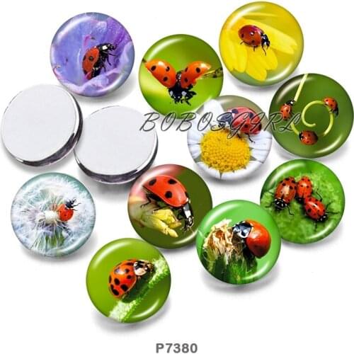 Ladybug 12mm18mm 20mm Snap button jewelry DIY Bracelet Round photo glass cabochons P7380