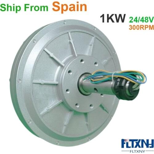 FLYT 1000W 24V 48V 1KW 300RPM 500RPM Coreless AC Rare Earth Permanent Magnet Generator Alternator Generator Vertical