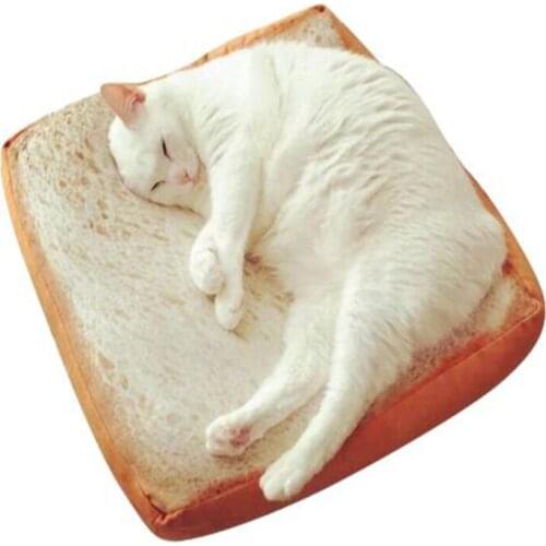 Microblogging with the paragraph cute real life toast bread slices cushions, cat special bread-type cushion cartoon around