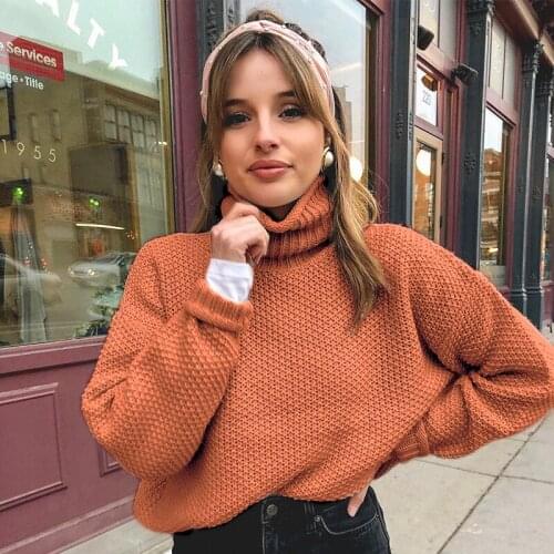 Casual turtleneck sweater women autumn winter Oversized pullovers female Elegant ladies Long sleeve Jumpers Tops