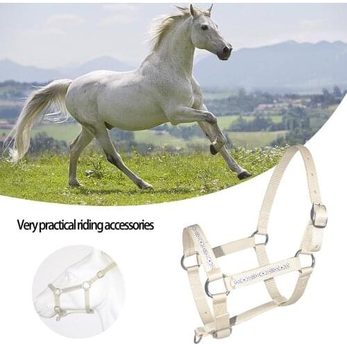 Horse Halter Horse Bridle Pet Protective Head Collar Horse Belt Nylon Detachable Adjustable Durable Horse Headstall Wholesale